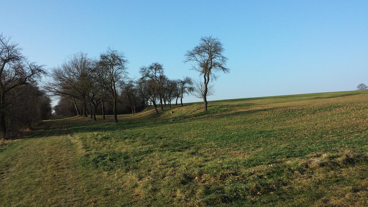 Hotel Bad Langensalza Eichenhof Exteriör bild